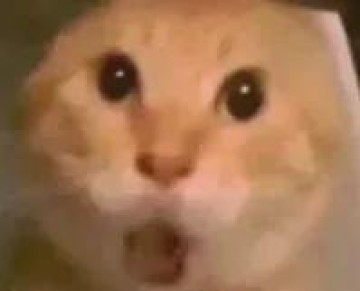 开云体育官网-失准了！NBA现象级新秀！东契奇有望登顶三分王