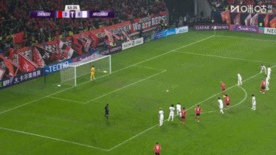 2a.gif